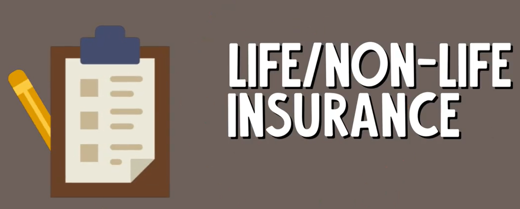 Life Insurance - Vince Rapisura